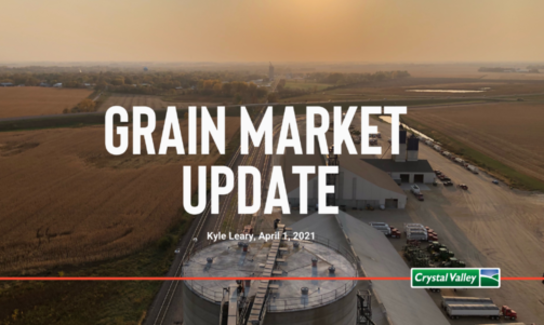 Grain Update 1